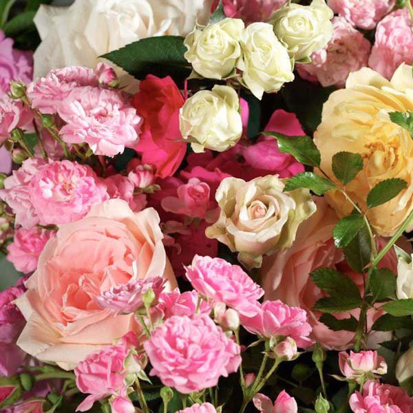 Fresh Cut Roses - Image 4