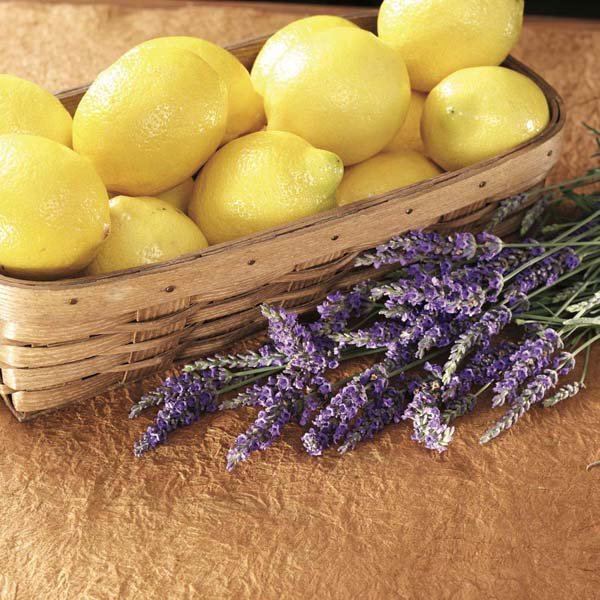 Lemon Lavender - Image 3